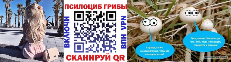 Галлюциногенные грибы ЛСД Элиста
