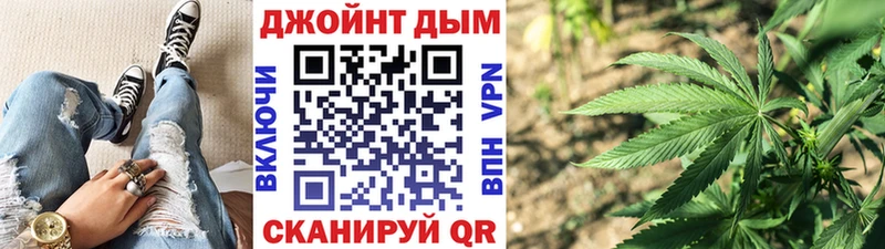 Канабис сатива Элиста